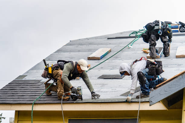 Professional Gutter Installation technician working in Plattsmouth, NE